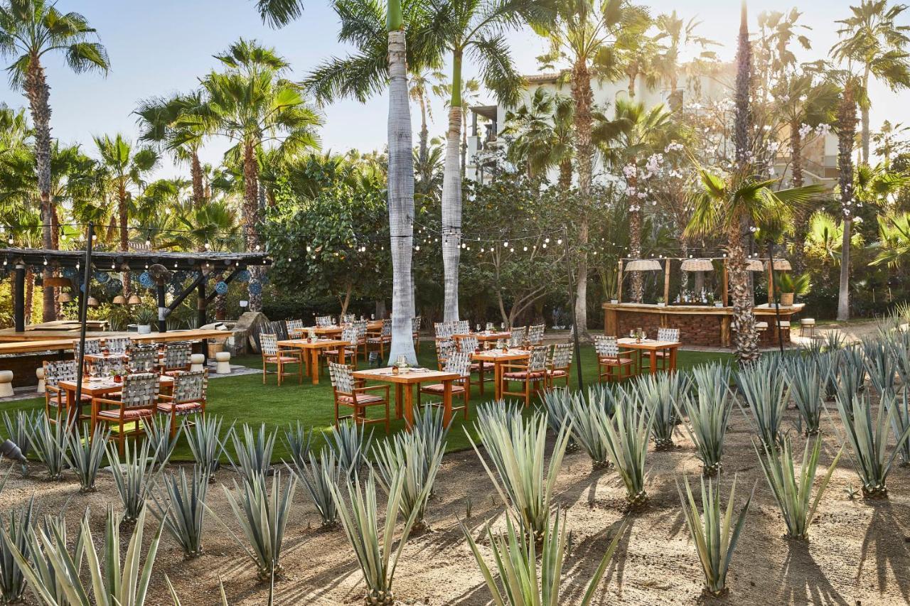 Esperanza, Auberge Resorts Collection Cabo San Lucas Esterno foto